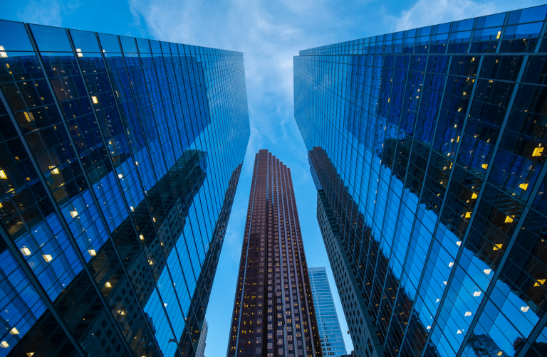 Fortis Bank Polska — Building One of the Strongest Portfolios in the Group